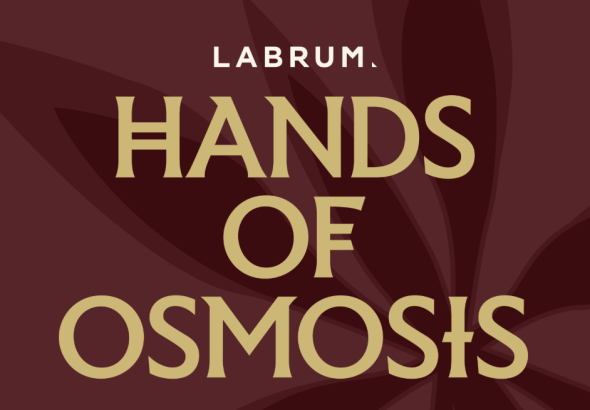 Labrum 'Hands of Osmosis' - LFW SS27